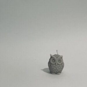 αρωματικό κερί "owl"