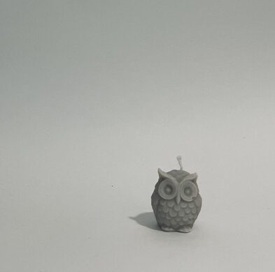 αρωματικό κερί "owl"